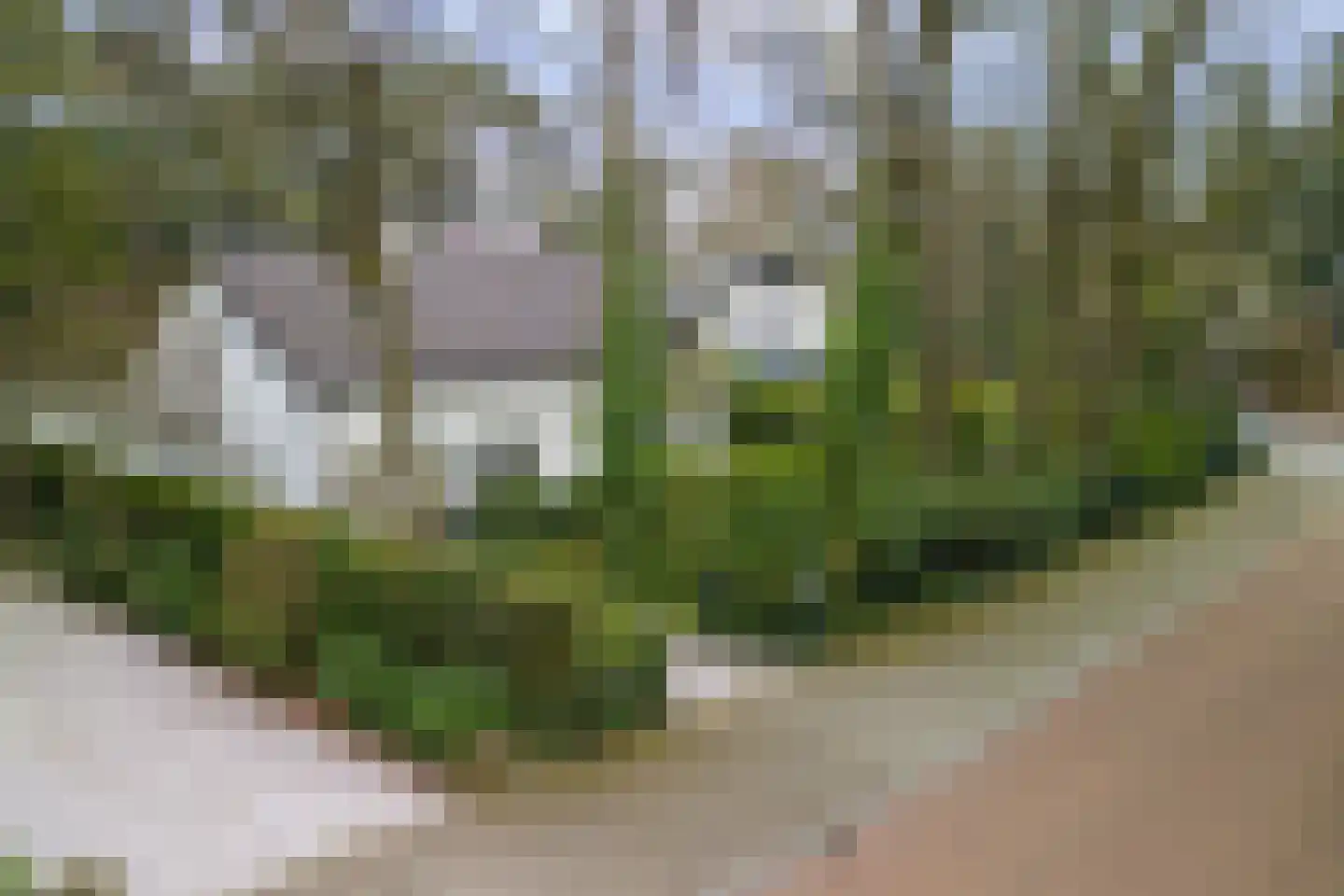 Kruislaan 9 Bilthoven thumbnail 5