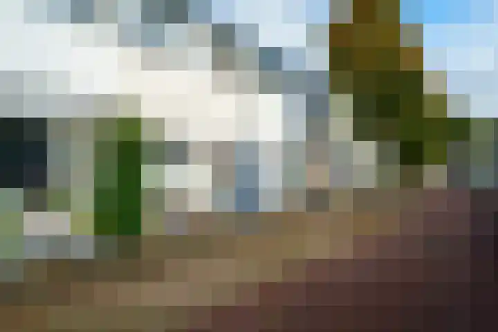 Kruislaan 9 Bussum thumbnail 22