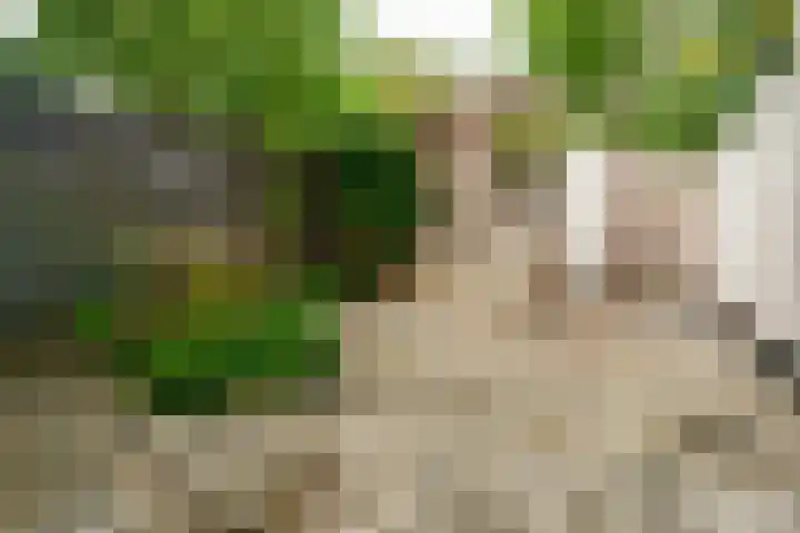 Kruislaan 9 Bussum thumbnail 26