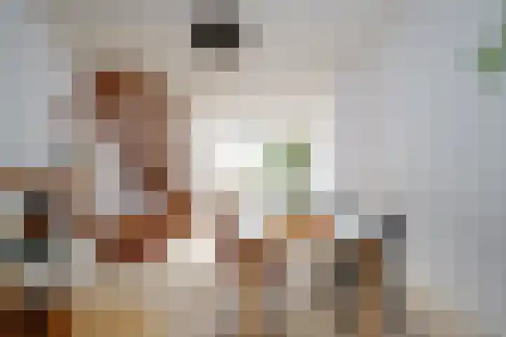 Kruislaan 9 Bussum thumbnail 4
