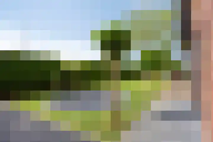 Kruislandstraat 1 Haaksbergen thumbnail 37