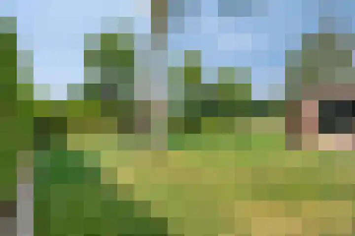 Kruislandstraat 1 Haaksbergen thumbnail 39