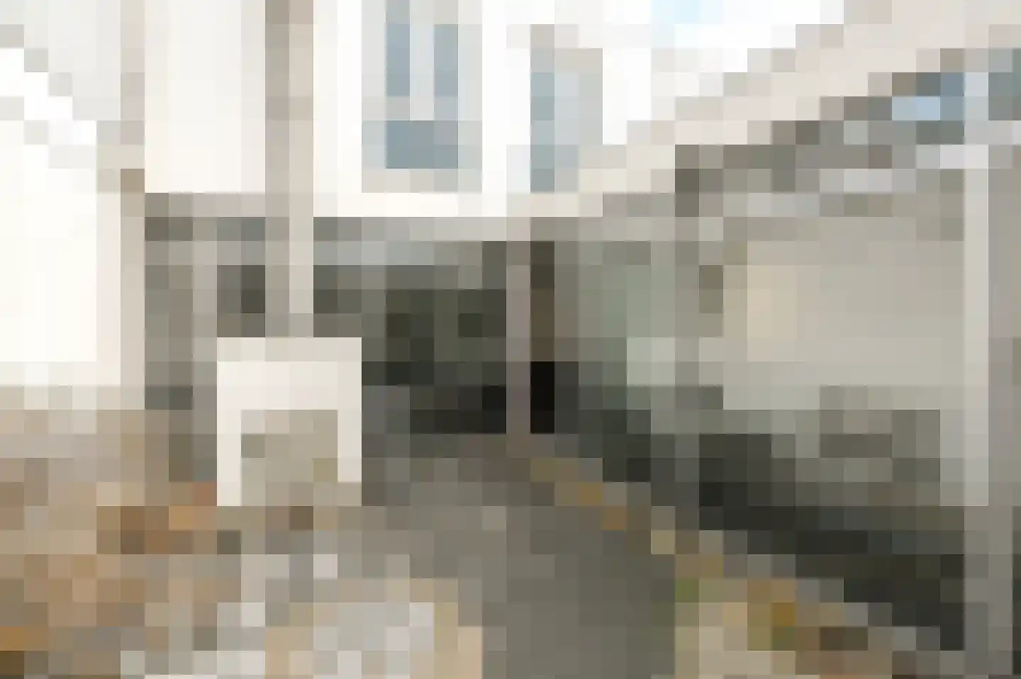 Kruismast 5 Den Haag thumbnail 10