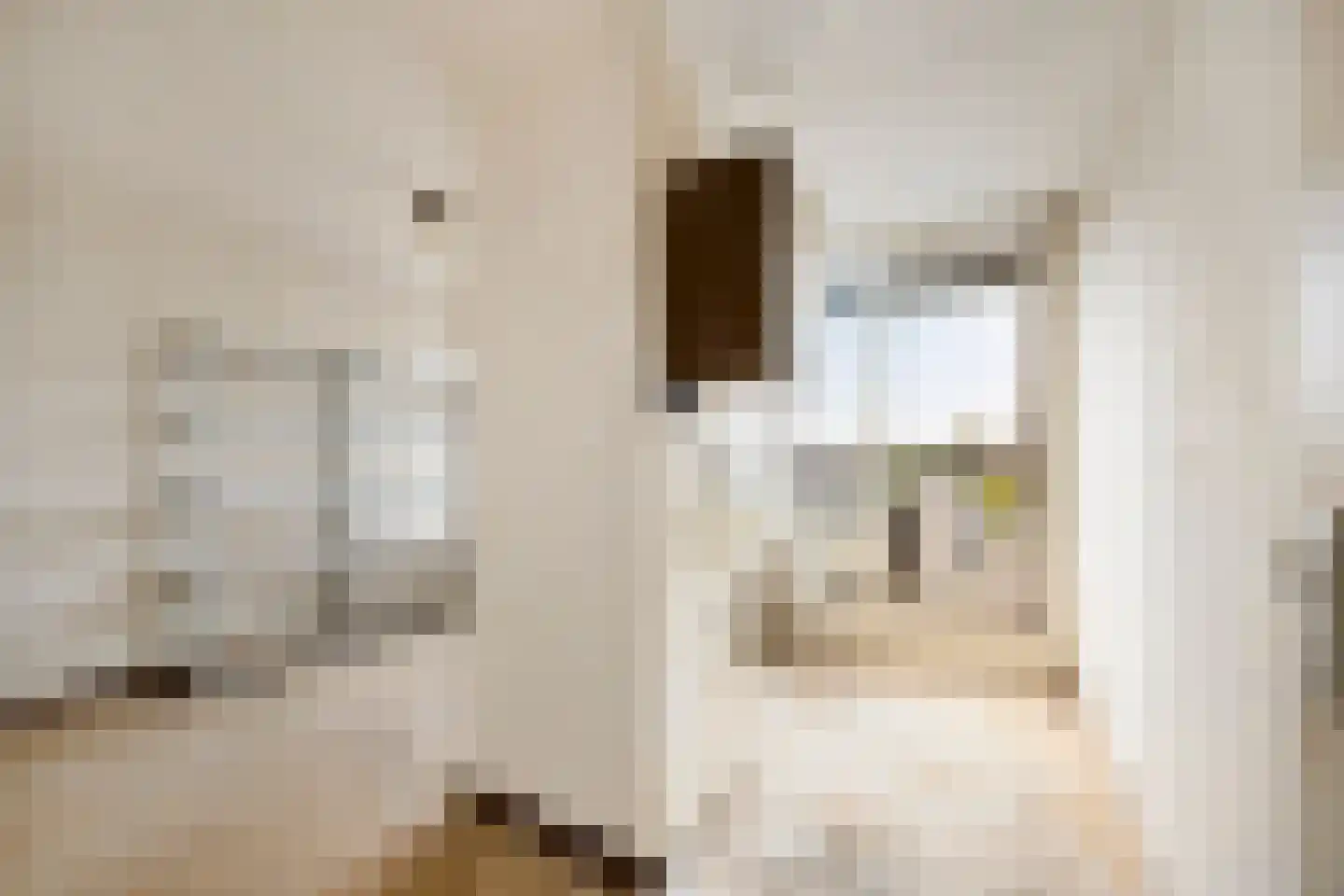 Kruisnetlaan 122 Hoogvliet Rotterdam thumbnail 27