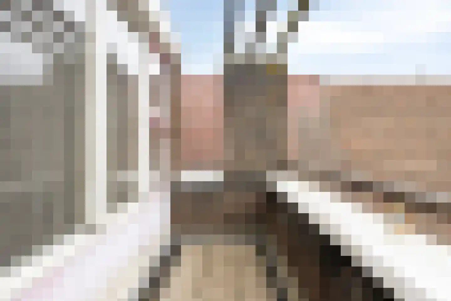 Kruisnetlaan 122 Hoogvliet Rotterdam thumbnail 29