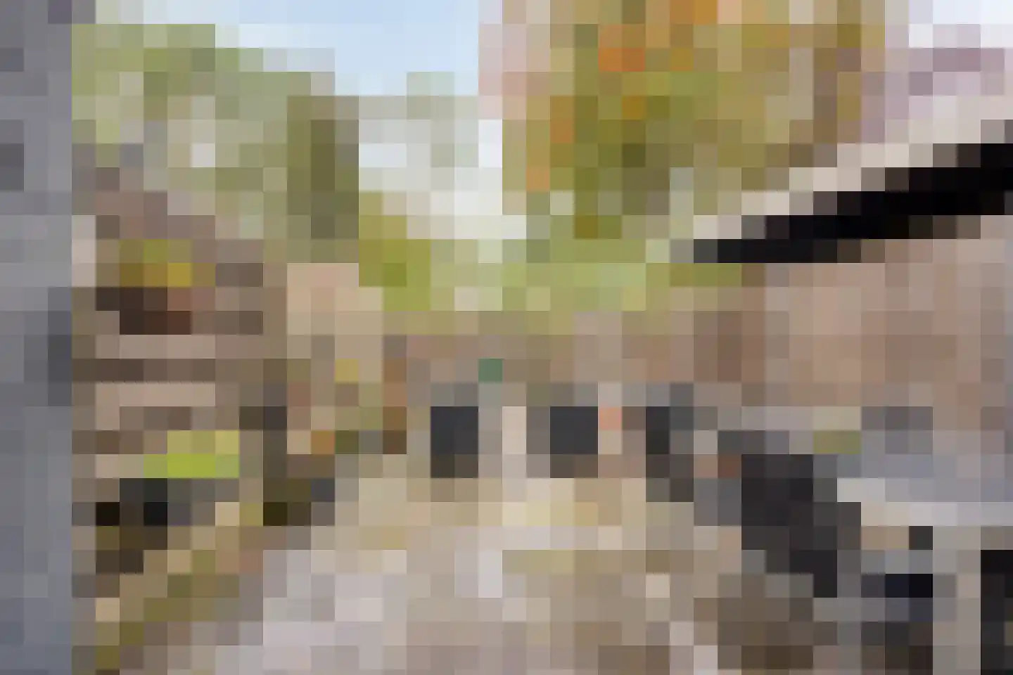 Kruisnetlaan 122 Hoogvliet Rotterdam thumbnail 31