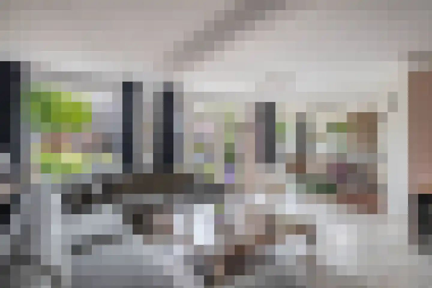 Kruisnetlaan 171 Hoogvliet Rotterdam thumbnail 11