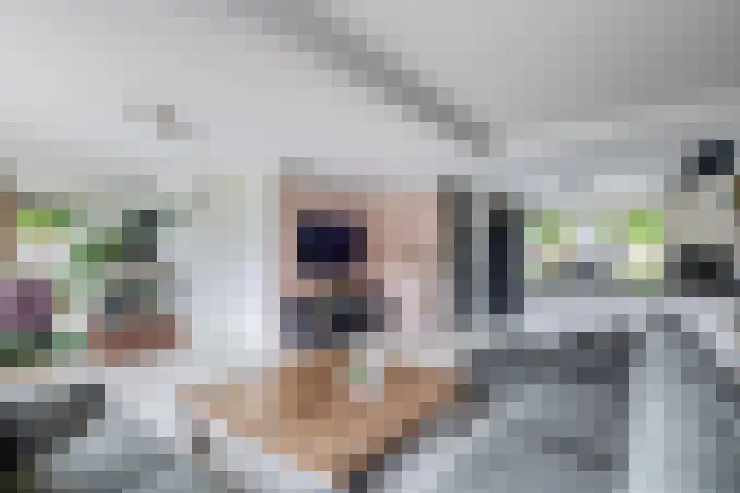 Kruisnetlaan 171 Hoogvliet Rotterdam thumbnail 15