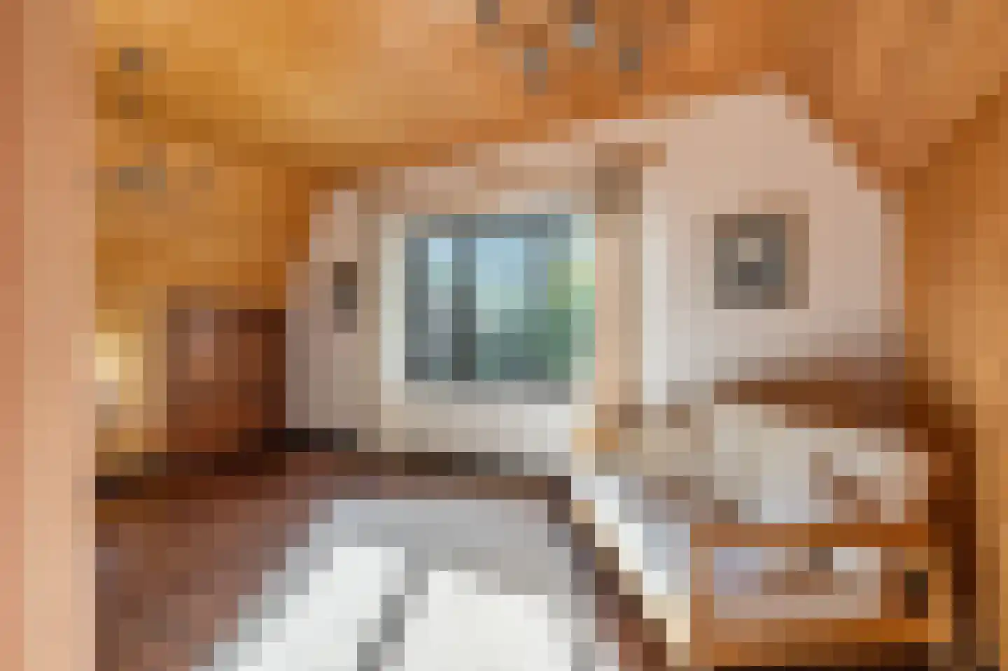 Kruispad 1 Koewacht thumbnail 25