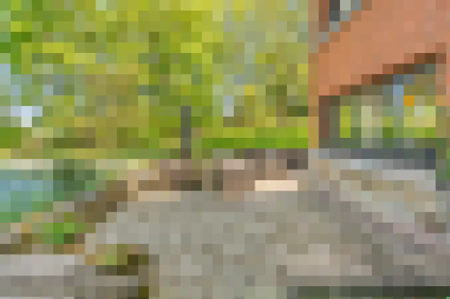 Kruispad 1 Koewacht thumbnail 30