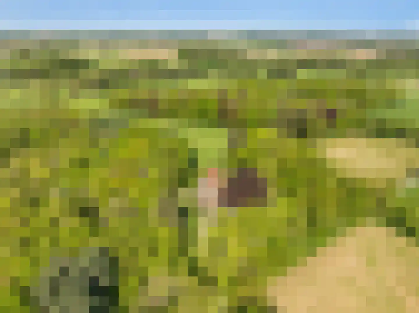 Kruispad 1 Koewacht thumbnail 34