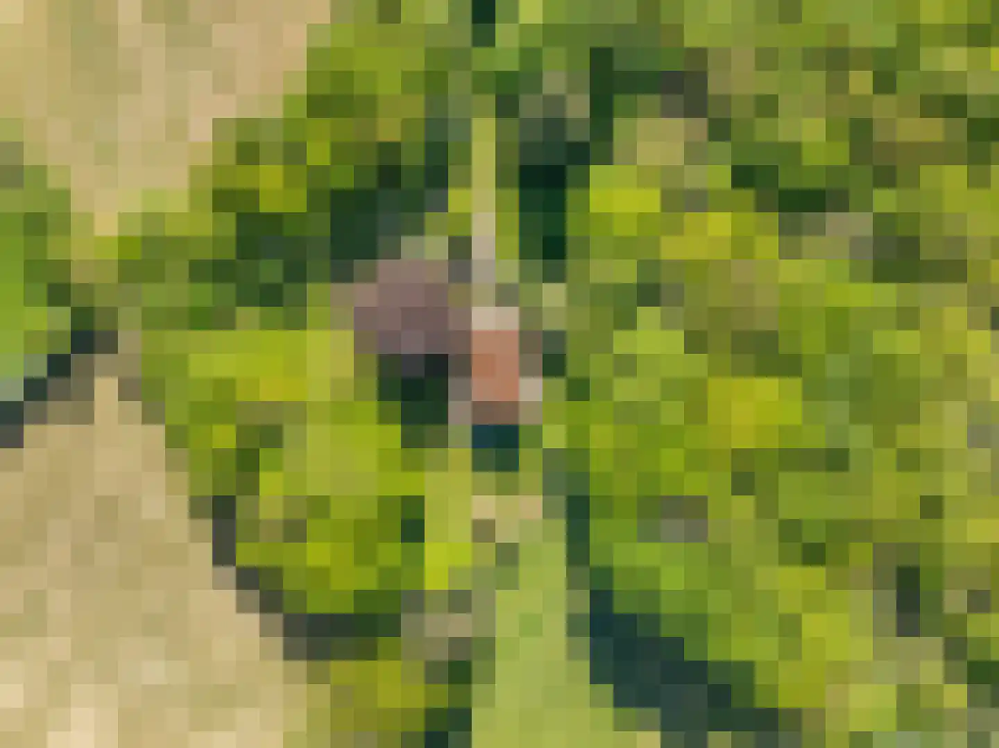 Kruispad 1 Koewacht thumbnail 35
