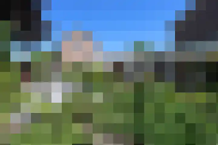 Kruispad 12 Groesbeek thumbnail 11