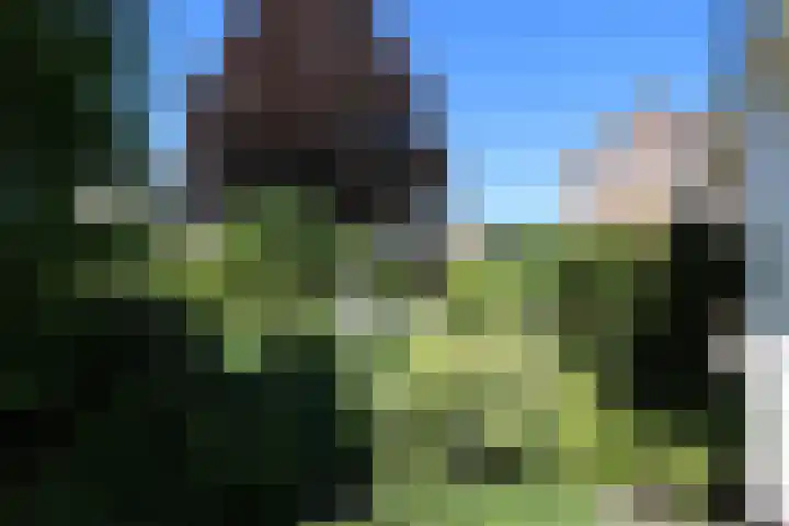 Kruispad 12 Groesbeek thumbnail 9