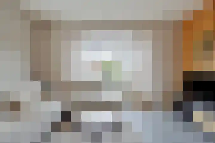 Kruispad 25 Brakel thumbnail 10