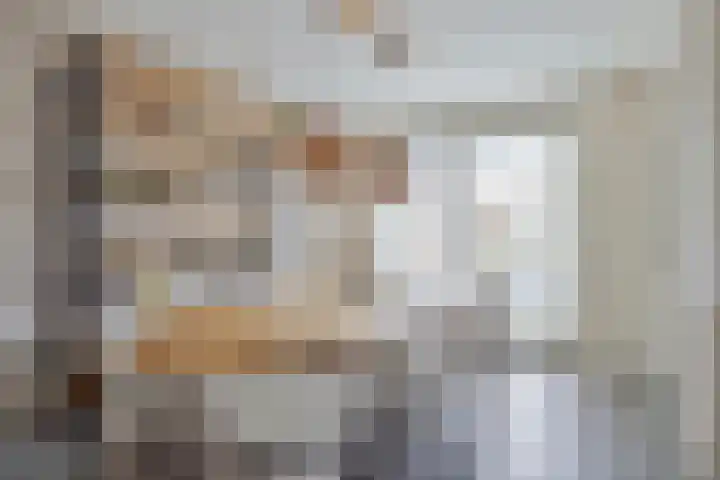 Kruispad 25 Brakel thumbnail 18