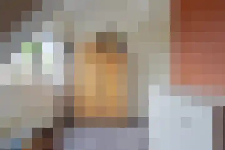 Kruispad 25 Brakel thumbnail 29