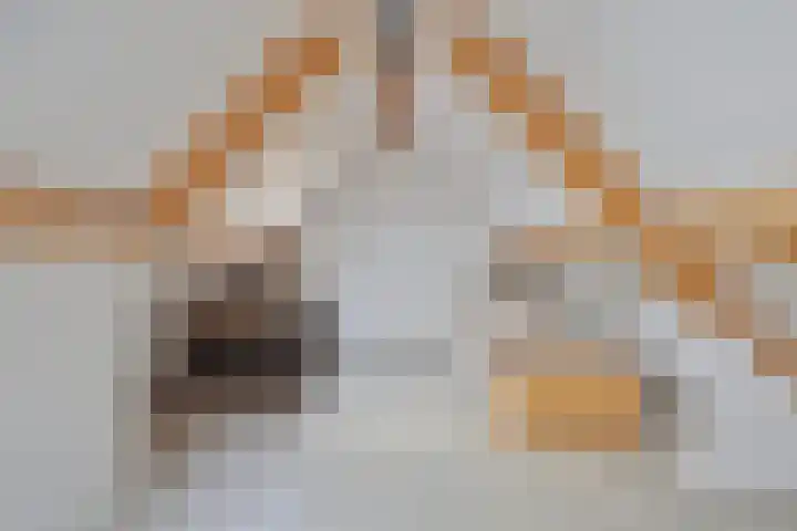 Kruispad 25 Brakel thumbnail 32