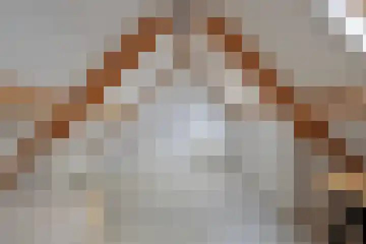 Kruispad 25 Brakel thumbnail 33