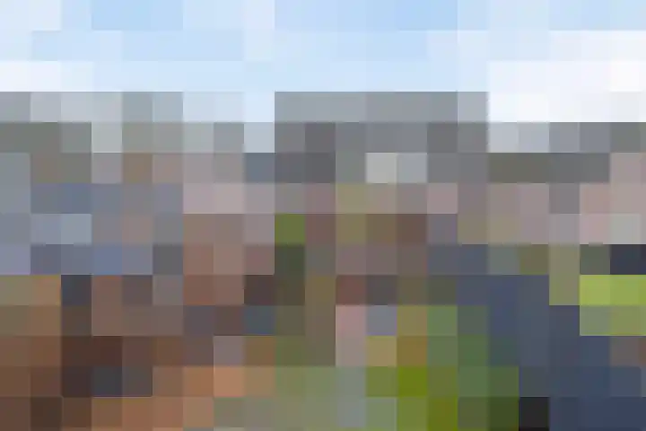 Kruispad 25 Brakel thumbnail 34