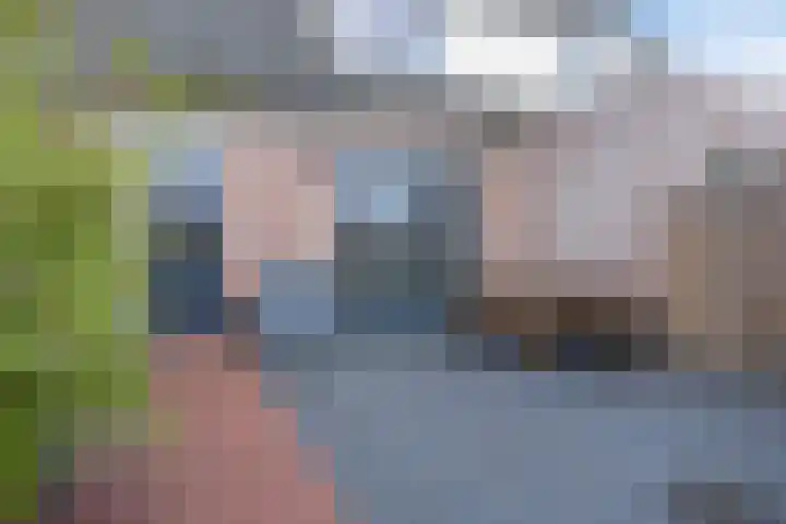 Kruispad 25 Brakel thumbnail 35