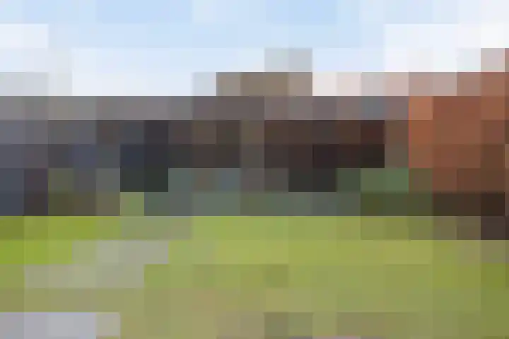Kruispad 25 Brakel thumbnail 40