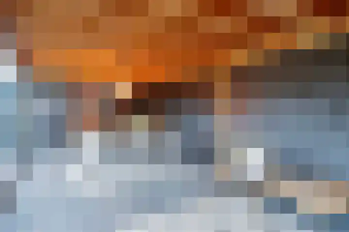 Kruispad 25 Brakel thumbnail 42