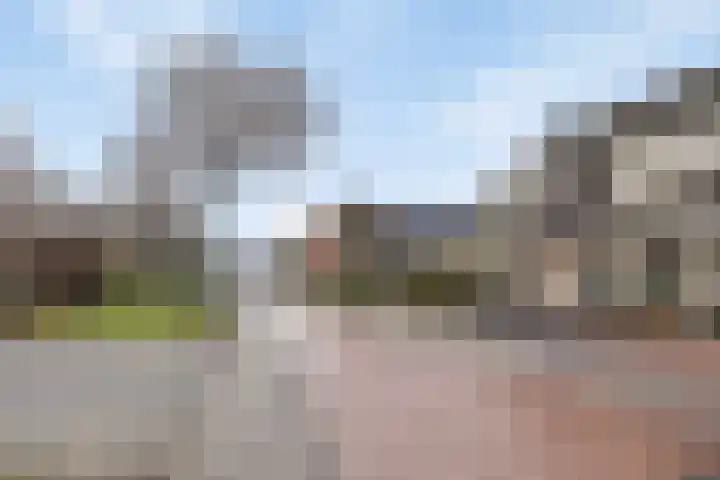Kruispad 25 Brakel thumbnail 48