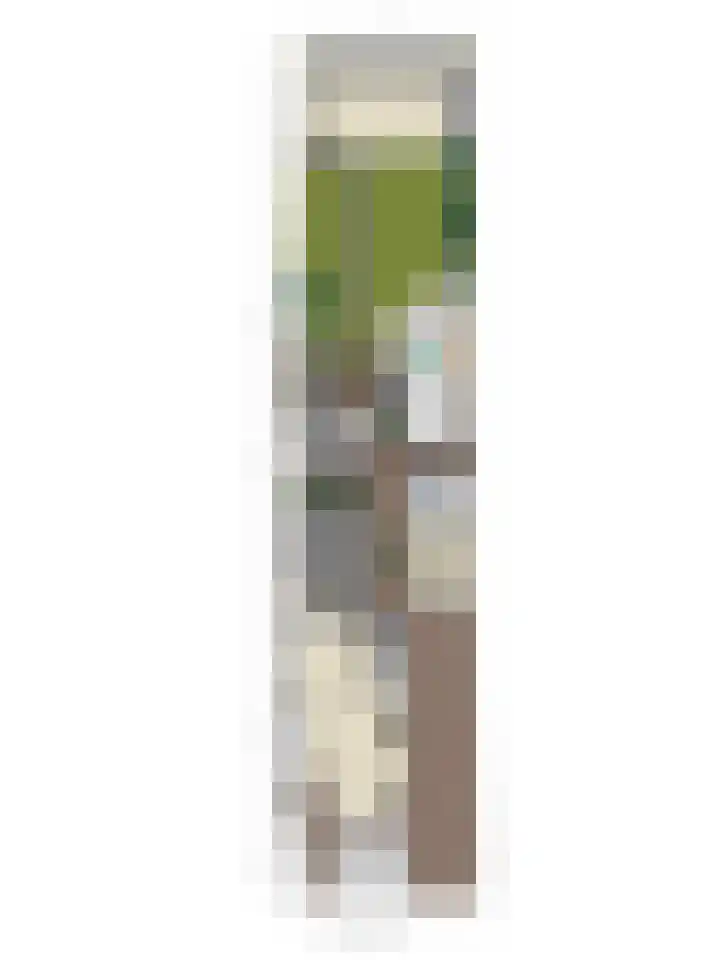 Kruispad 25 Brakel thumbnail 49
