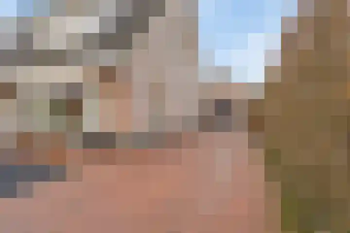 Kruispad 25 Brakel thumbnail 5