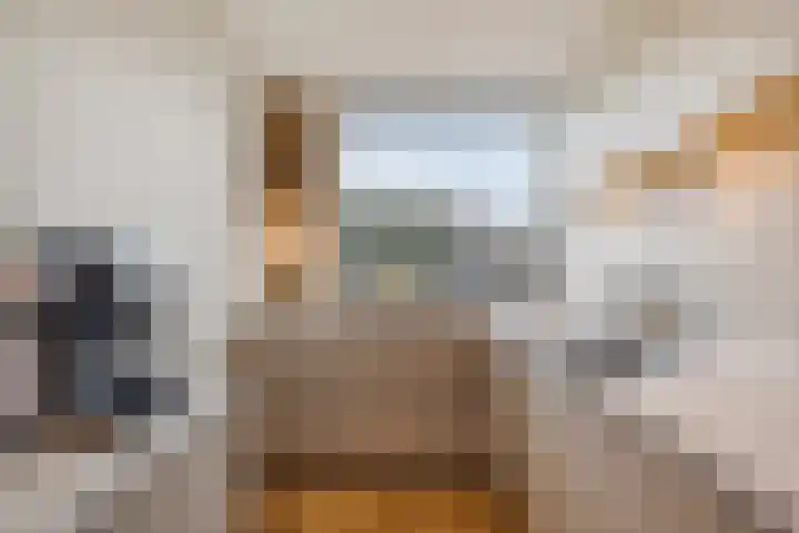 Kruispad 8 Prinsenbeek thumbnail 12