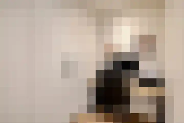 Kruispad 8 Prinsenbeek thumbnail 21