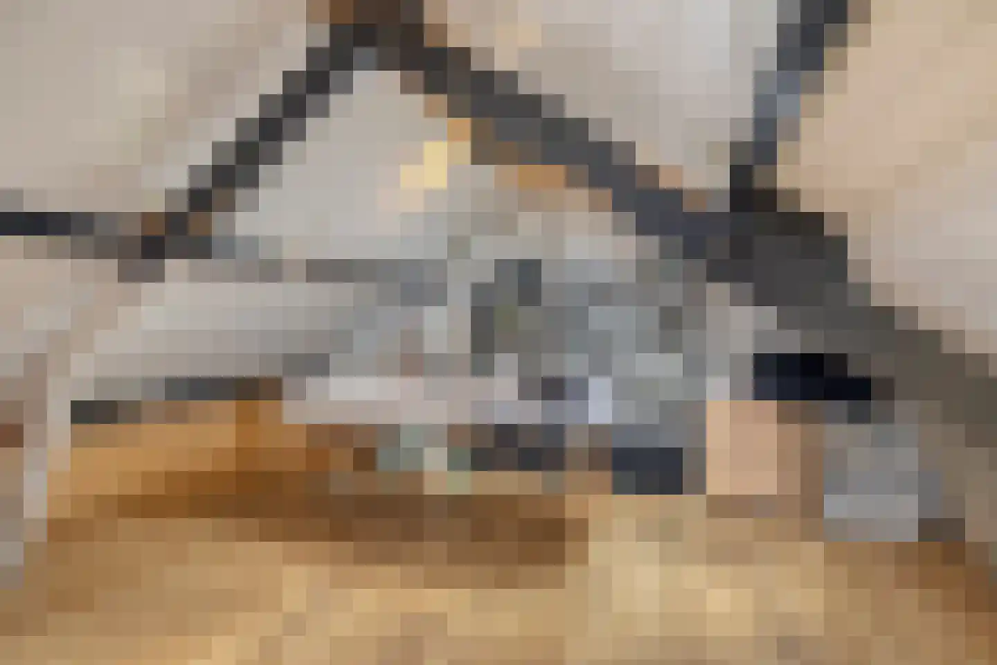 Kruispad 8 Prinsenbeek thumbnail 23
