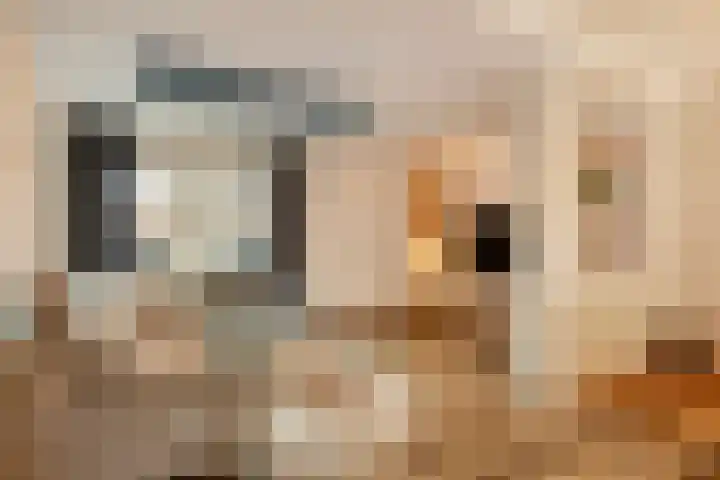 Kruispad 8 Prinsenbeek thumbnail 6