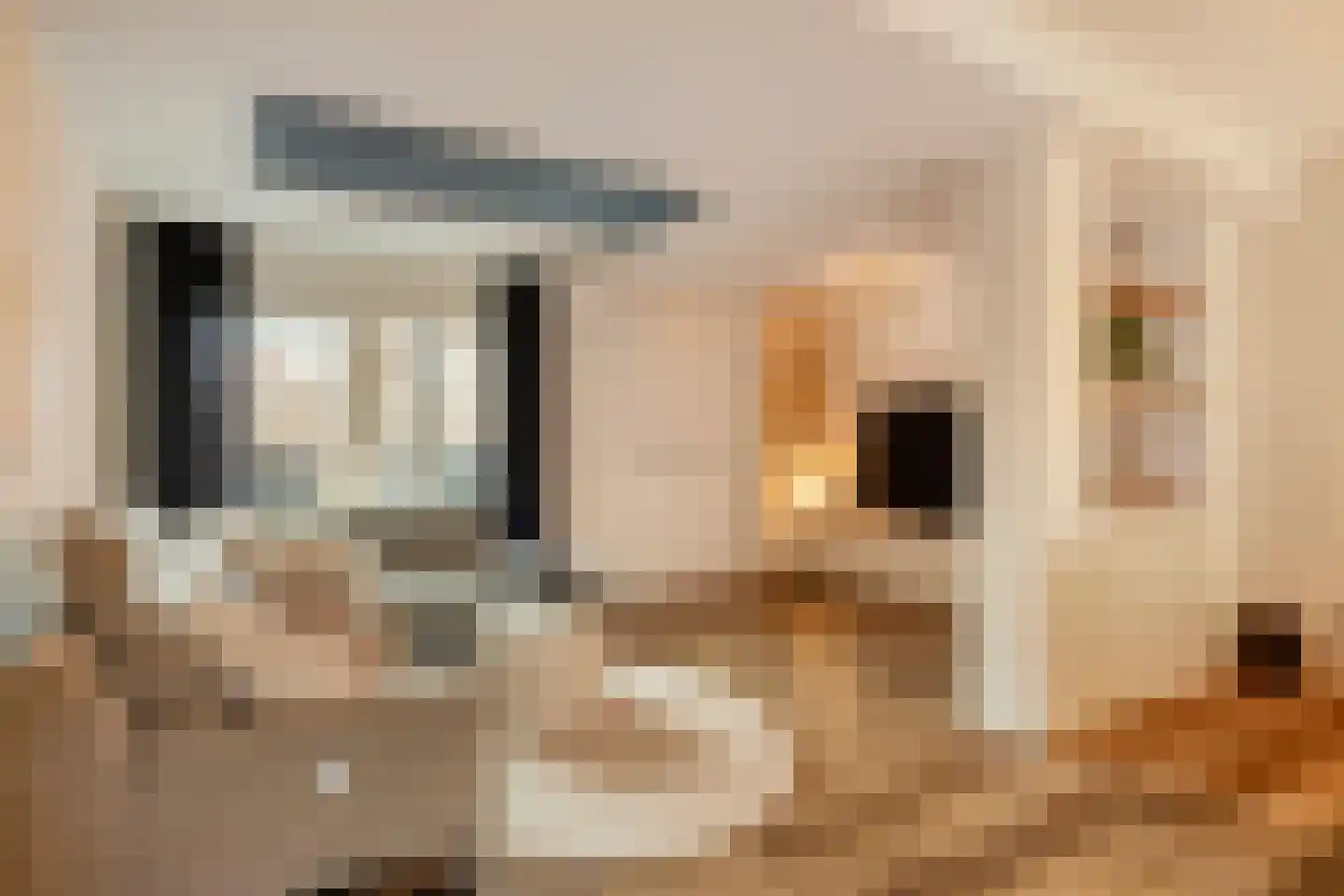 Kruispad 8 Prinsenbeek thumbnail 6
