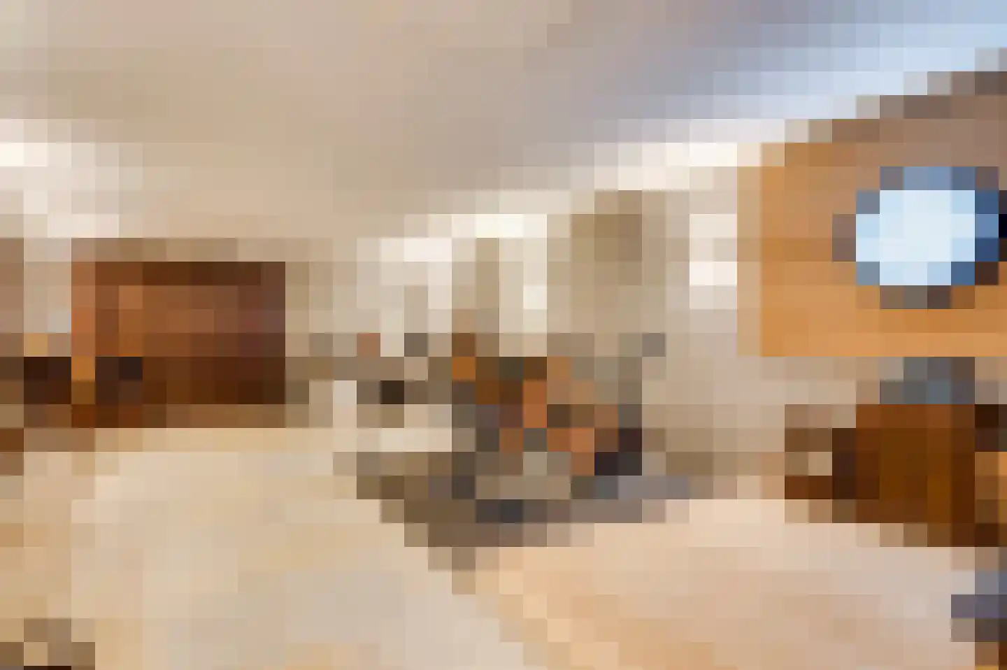 Kruispeelweg 17 Weert thumbnail 33