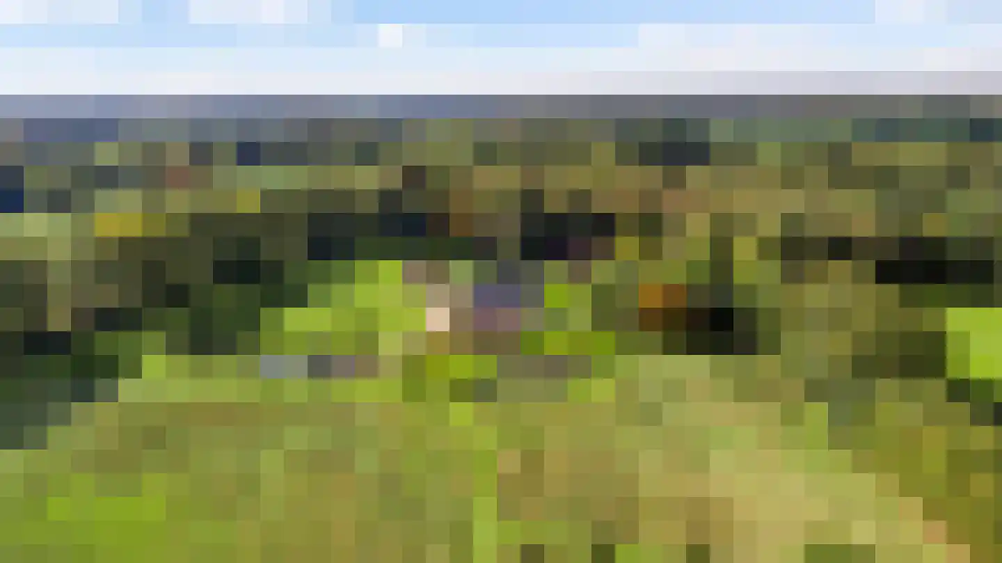 Kruispeelweg 17 Weert thumbnail 4
