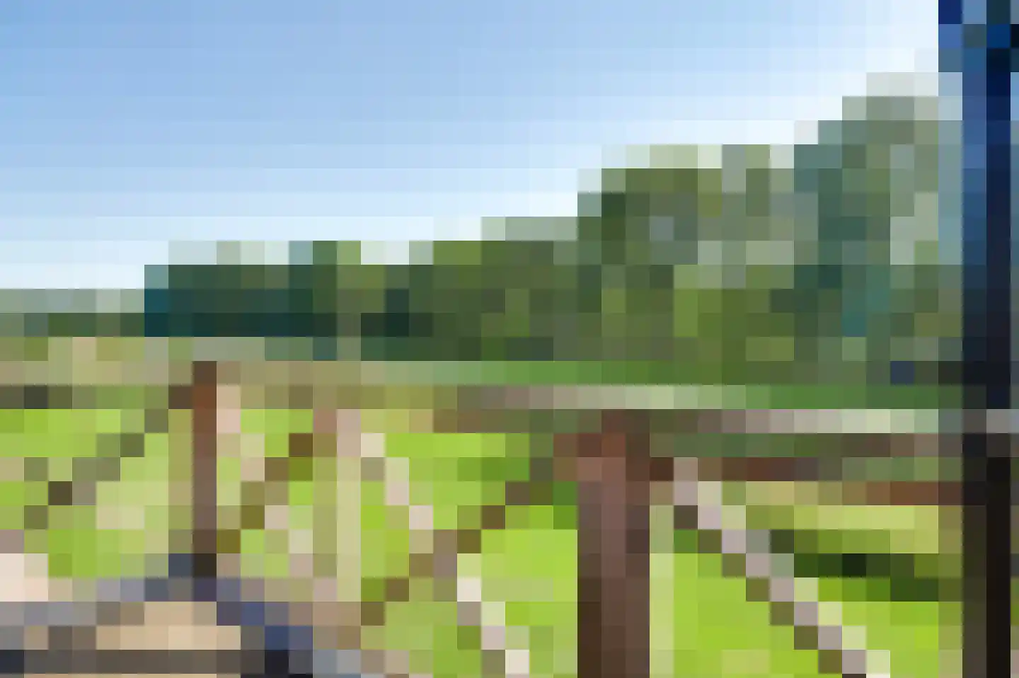 Kruispeelweg 17 Weert thumbnail 40