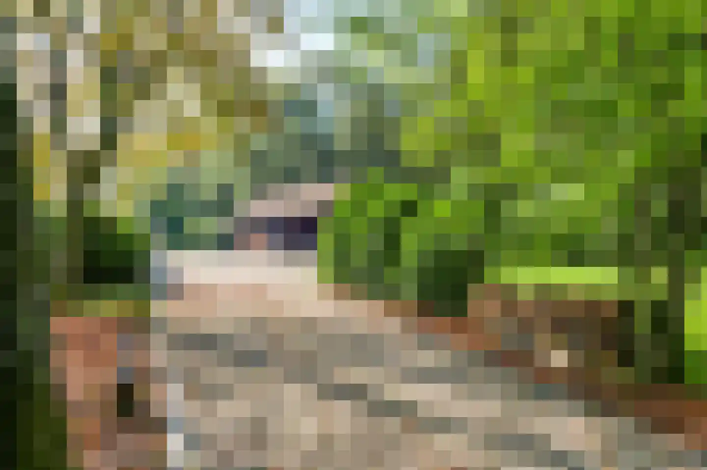 Kruispeelweg 17 Weert thumbnail 7