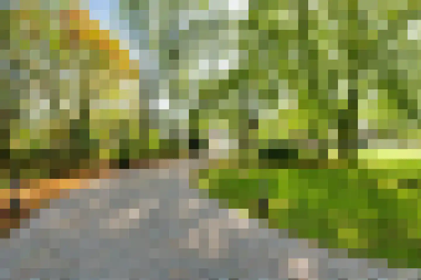 Kruispeelweg 17 Weert thumbnail 9