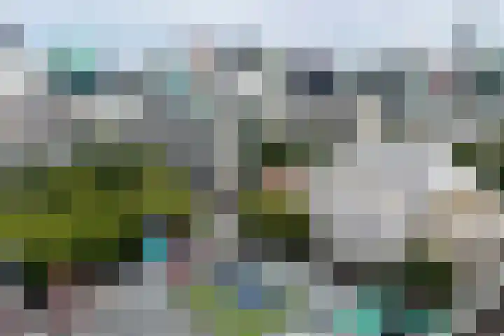Kruisplein 418 Rotterdam thumbnail 14