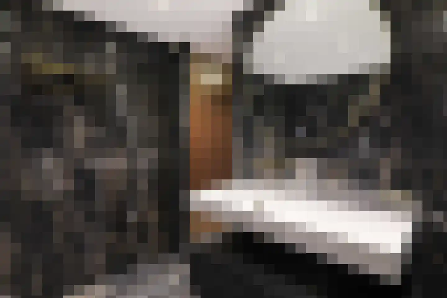 Kruisplein 446 Rotterdam thumbnail 33