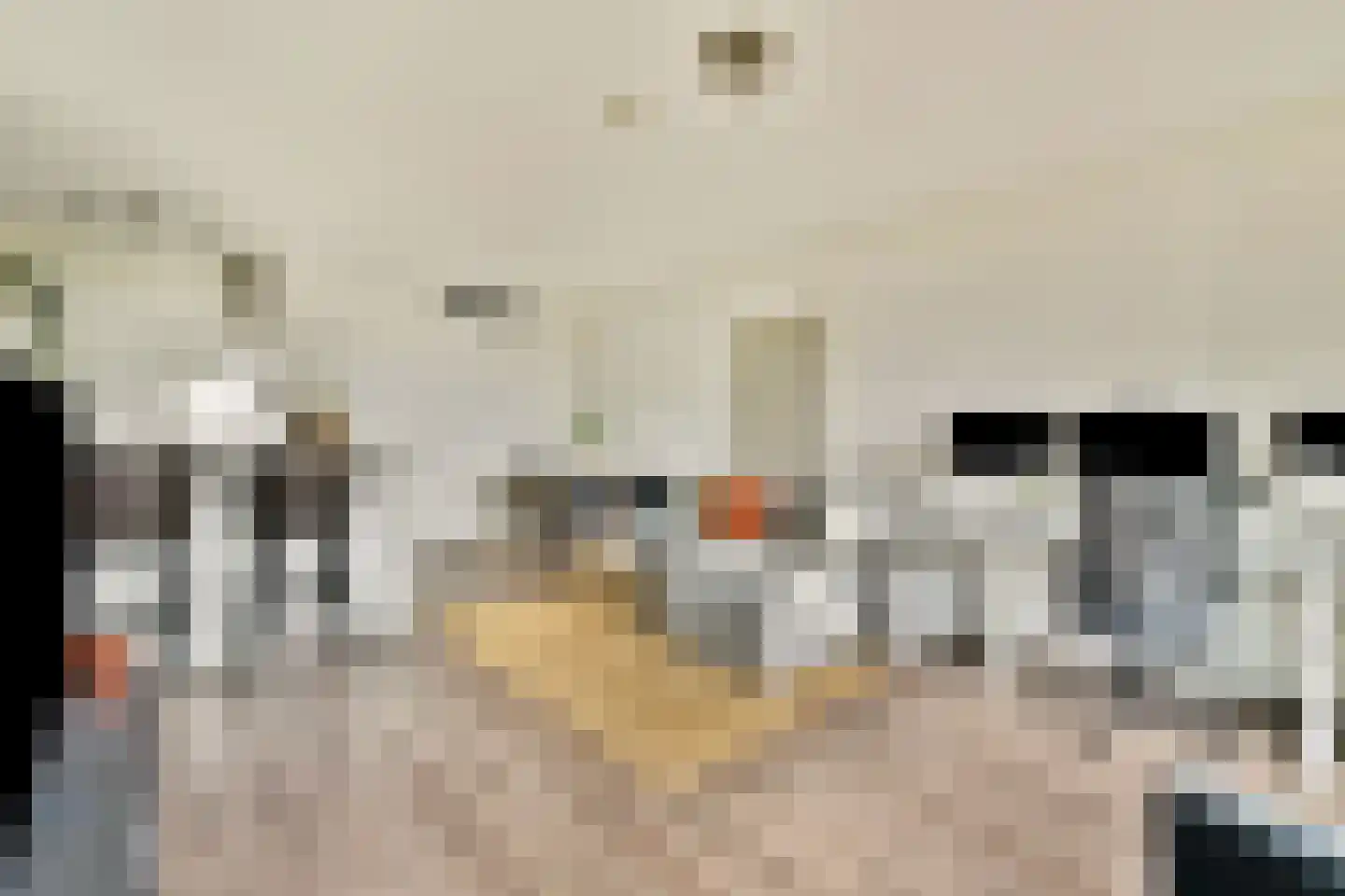 Kruisplein 574 Rotterdam thumbnail 6