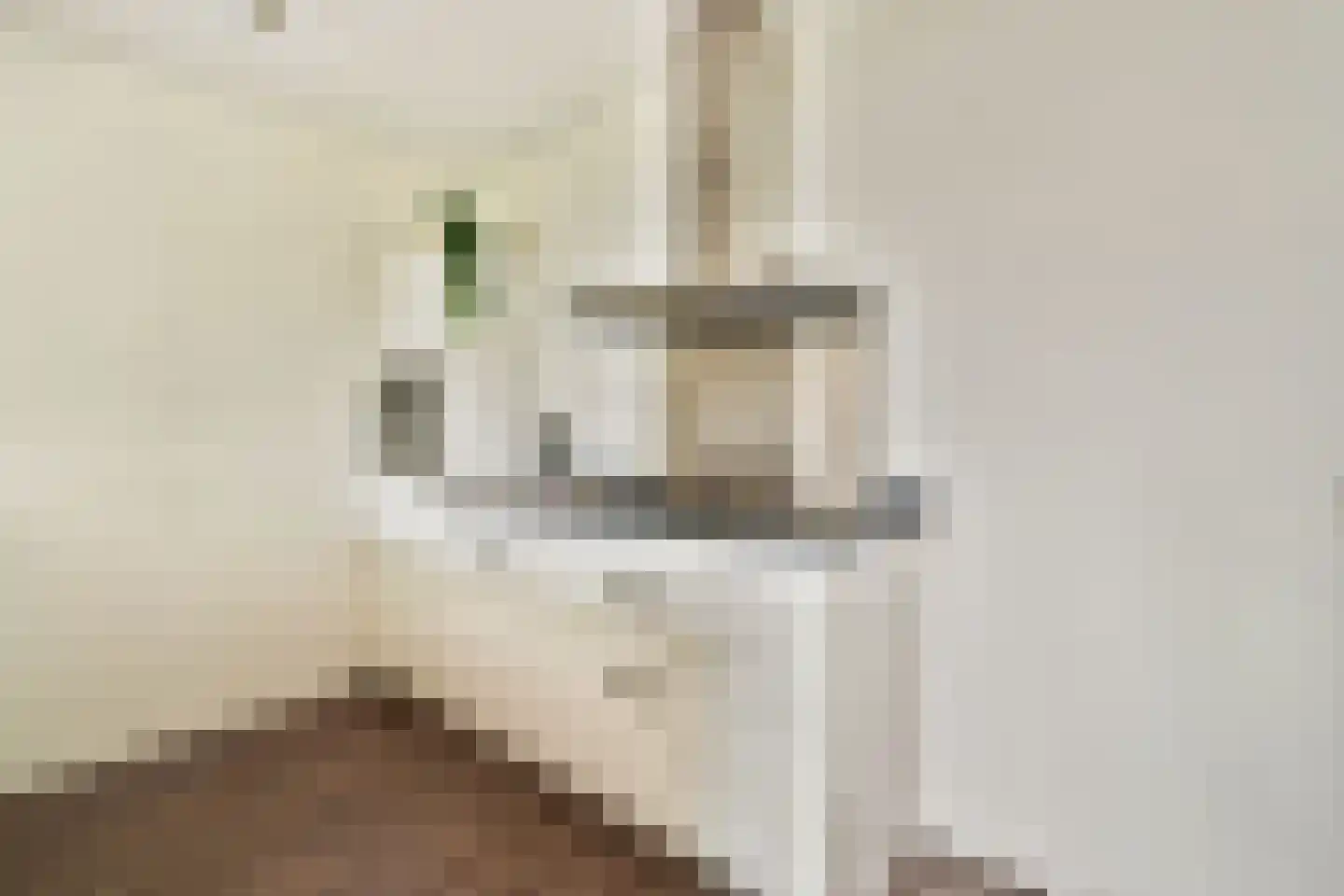 Kruisplein 574 Rotterdam thumbnail 9