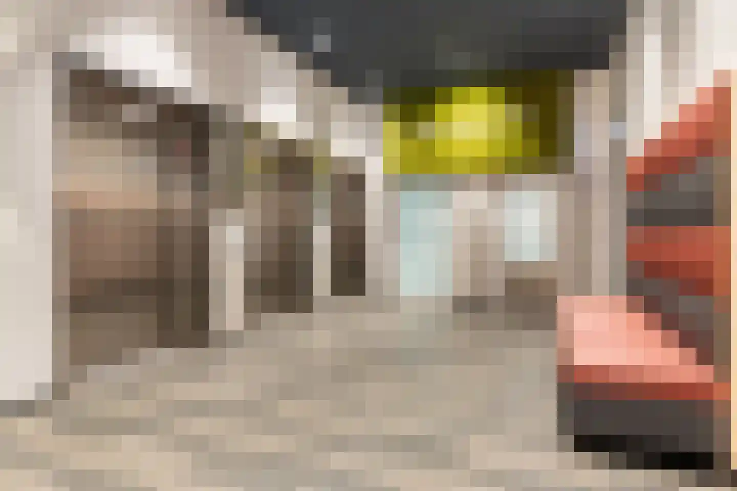 Kruisplein 604 Rotterdam thumbnail 20