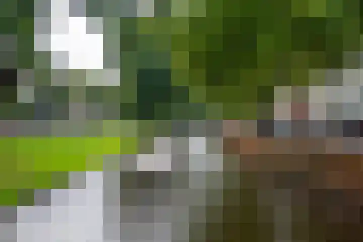 Kruisplein 608 Rotterdam thumbnail 28