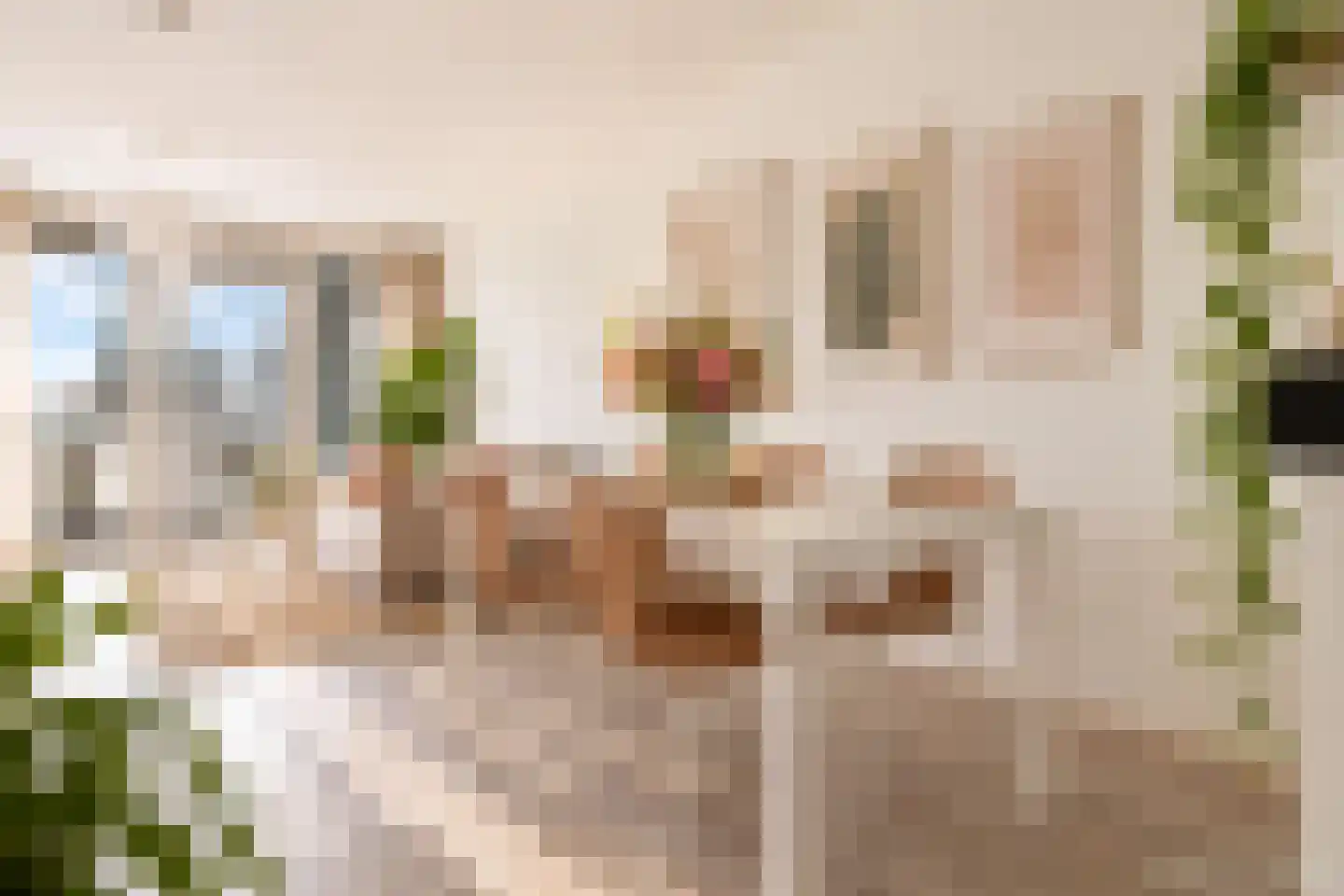 Kruisplein 648 Rotterdam thumbnail 13