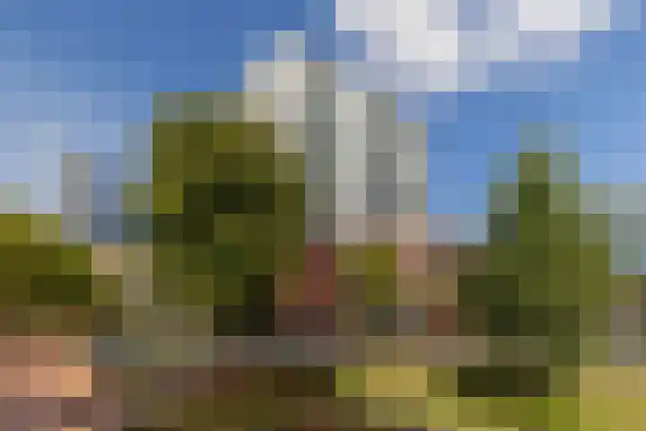 Kruisplein 746 Rotterdam thumbnail 36