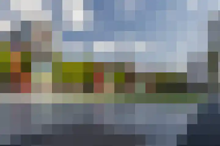 Kruisplein 746 Rotterdam thumbnail 41