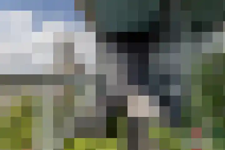 Kruisplein 746 Rotterdam thumbnail 7